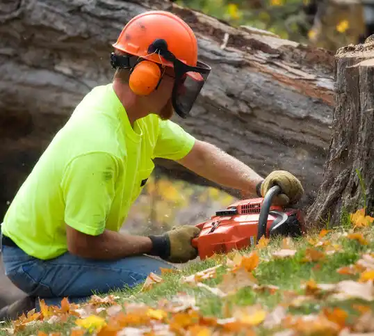 tree services Whiteville